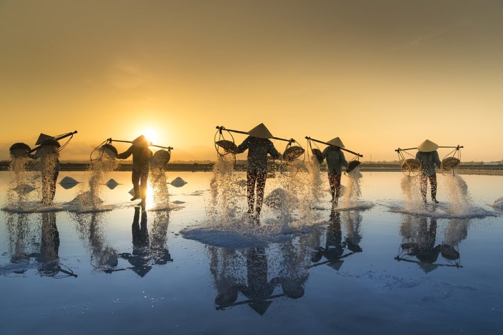 salt harvesting, vietnam, water-3060093.jpg